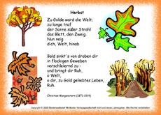 Herbst-Morgenstern.jpg